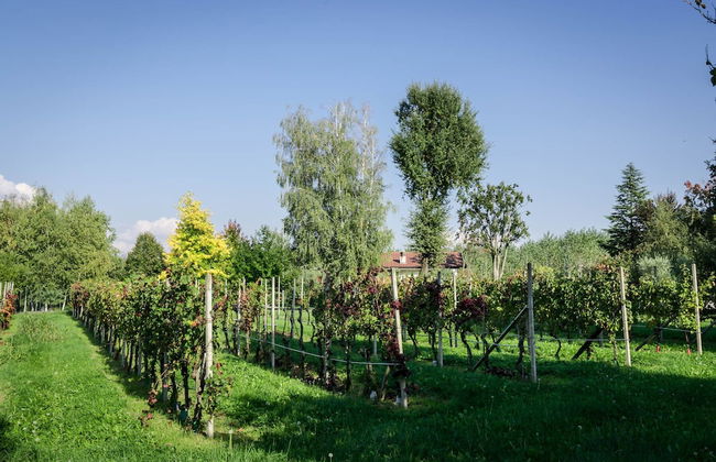 Villa Torresani - Photo 7