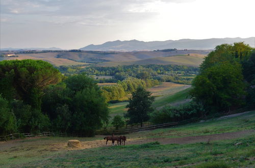 Photo 27 - Tenuta I Mandorli