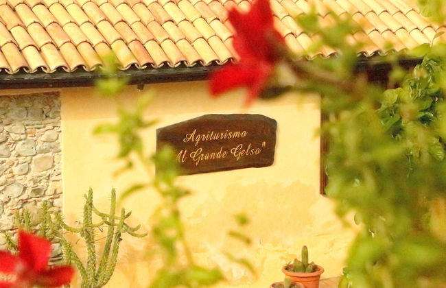 Al Grande Gelso - Foto 1
