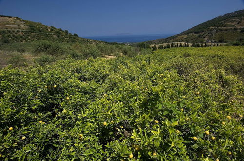 Photo 15 - La Collina degli Ulivi - Casa Limoni 2