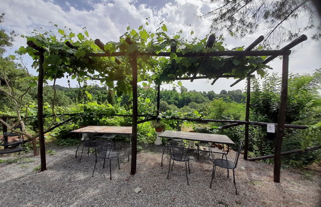 Agriturismo Il Sentiero - Foto 46