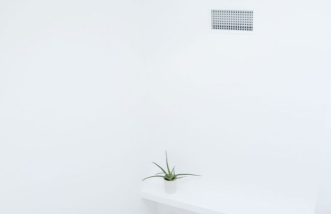 Ortiquattro - Foto 13