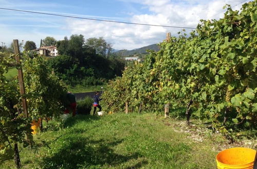 Photo 16 - La Vigna di Sarah