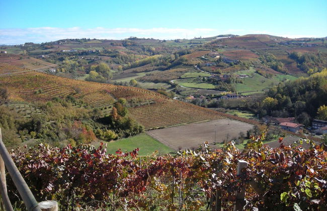 Bricco Rosso - Foto 30