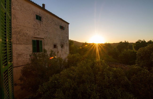 Son Sant Andreu - Foto 80