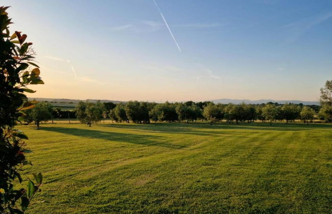 Apartment in Tuoro Near Lago Trasimeno - Foto 28