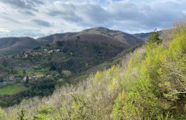 Holiday Home in Dicomano - Foto 37