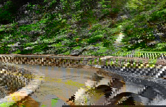 Kapalua Ridge Villas 1414 - Foto 25