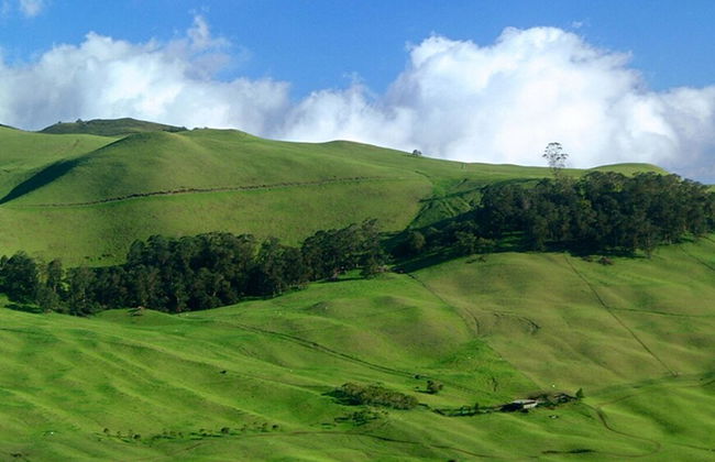 Kapalua Ridge Villas 1414 - Foto 55