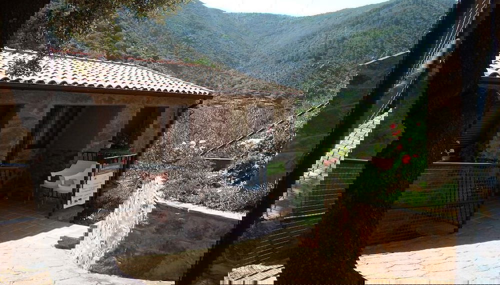 Primary image