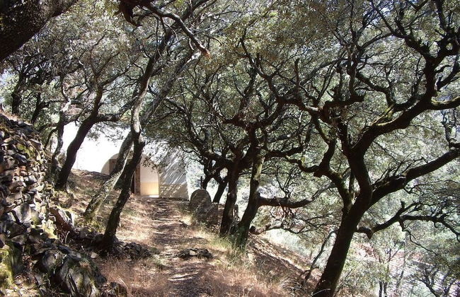 Las Casitas del Bodegon - Foto 31