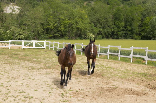 Photo 36 - White Tail Organic Farm