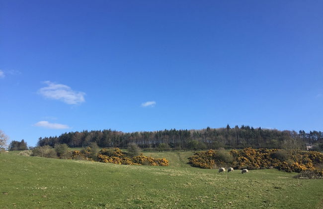 Jura @ Westcote Glamping - Photo 14