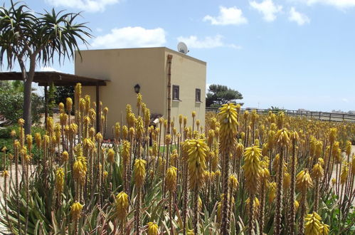 Photo 39 - Il Giardino delle aloe