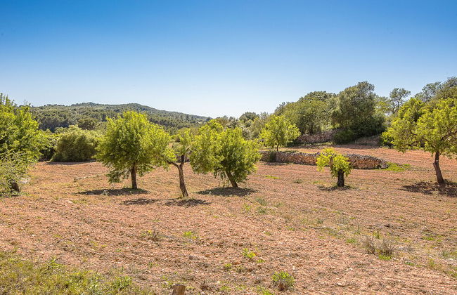Villa Son Fornes - Foto 53