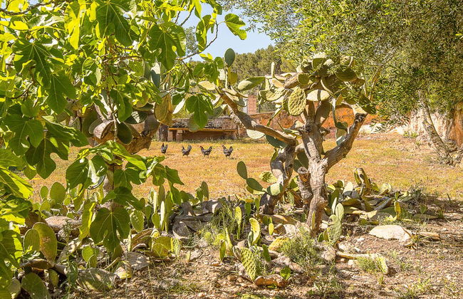 Villa Son Fornes - Foto 49