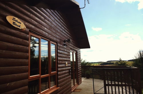 Photo 15 - Silver Birch Lodge With Hot Tub Near Cupar, Fife