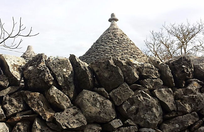 Masseria Tinelli - Photo 20
