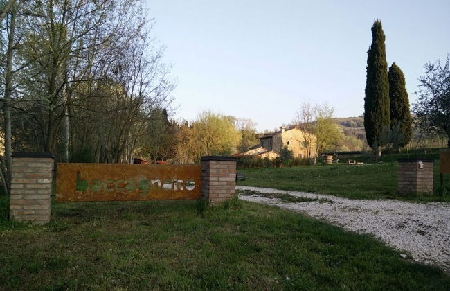 Azienda Agricola Baccagnano - Foto 36
