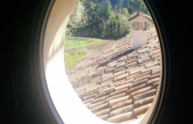 Azienda Agricola Baccagnano - Foto 40