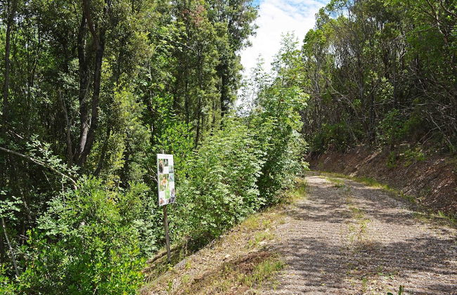 Le Moraiole Country House - Foto 39