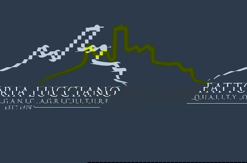 Foto 43 - Fattoria Lucciano
