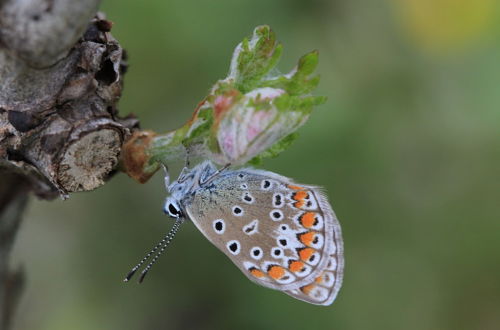 Foto 56 - Fattoria Lucciano