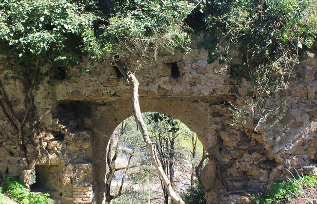 Fattoria Lucciano - Foto 49