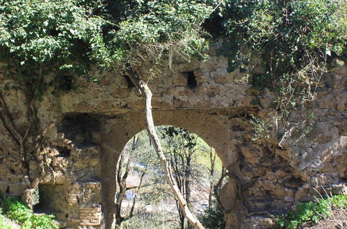 Photo 47 - Fattoria Lucciano