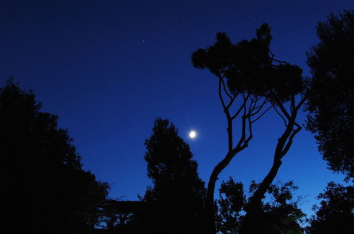 Photo 55 - Fattoria Lucciano