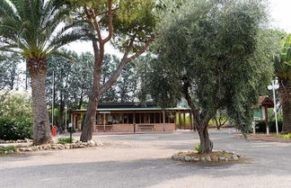 Photo 2 - Villaggio Camping Parco Degli Ulivi