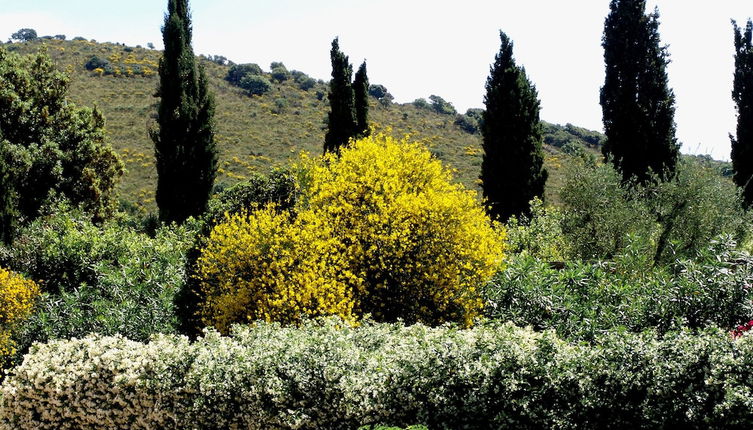 Foto 1 - Agriturismo Fattoria Il Casalone