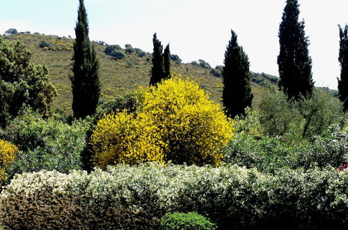 Photo 1 - Agriturismo Fattoria Il Casalone