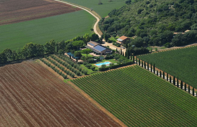 Agriturismo Fattoria Il Casalone - Foto 43