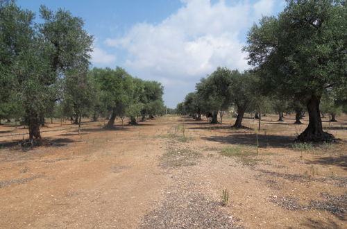 Foto 43 - Masseria Le Celline