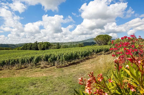 Photo 27 - Tuscan Farmhouse in Montescudaio near Sea