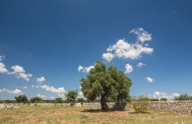 Masseria Castelluzzo - Foto 44