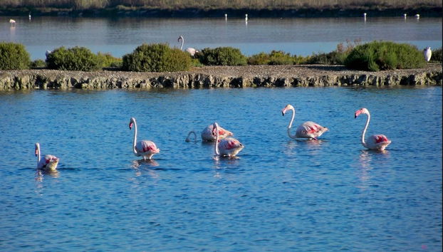 Ecoturismo