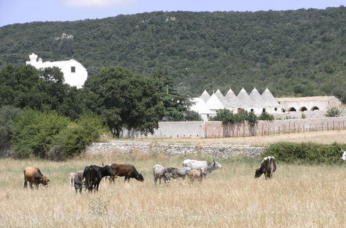 Foto 22 - Masseria Pilano