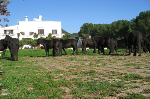 Photo 21 - Masseria Pilano