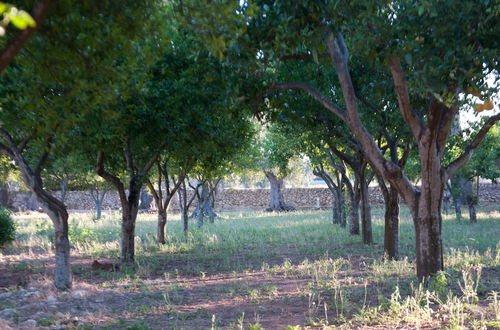 Photo 45 - Agriturismo Villa Coluccia