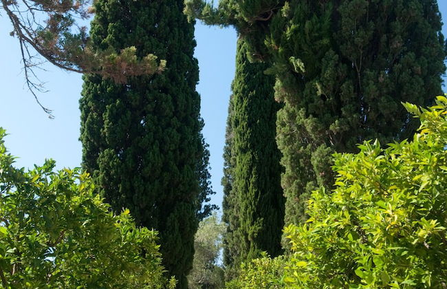 Agriturismo Villa Coluccia - Foto 67