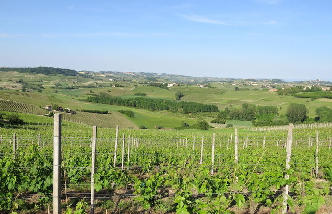 Cà Rapulin - Agriturismo - Foto 80