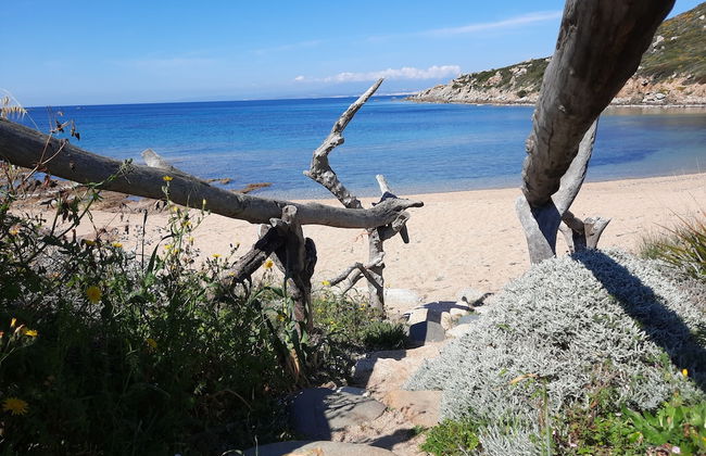 Le Rezidenze Desideri di Gallura - Foto 39