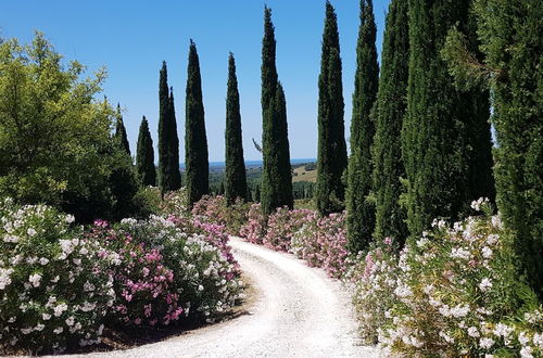 Photo 48 - Poggio Cornetto