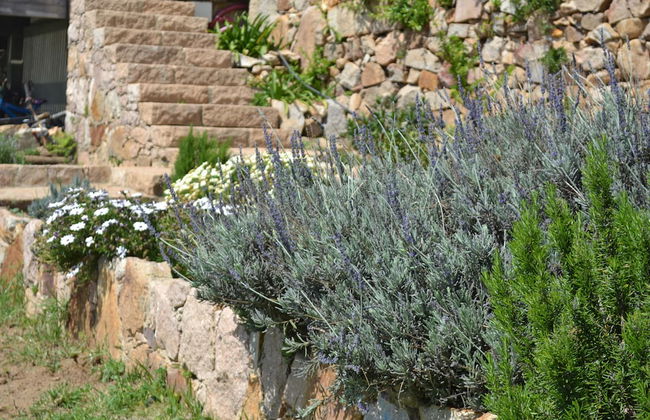 Mira Guincho house with sea view and garden - Foto 53