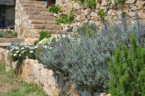 Photo 52 - Mira Guincho house with sea view and garden