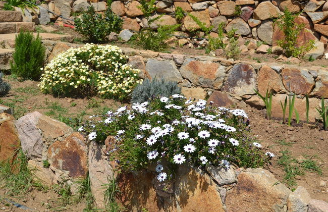 Mira Guincho house with sea view and garden - Foto 54