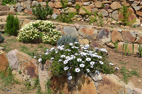 Photo 53 - Mira Guincho house with sea view and garden