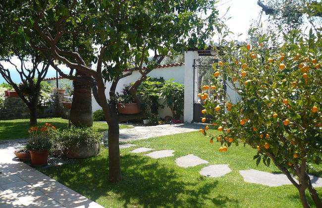 Azienda Agrituristica Villa Arianna - Foto 1